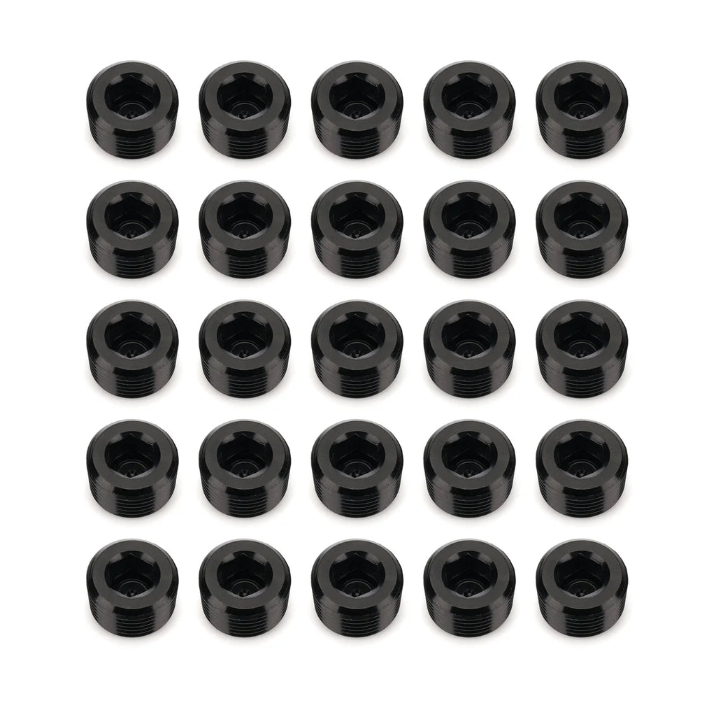 Redhorse Performance 3/8in NPT Socket Head Pipe Plug 25/pkg Black 932-06-25-2