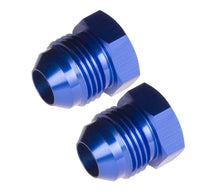 Load image into Gallery viewer, Redhorse Performance 6AN Flare Plug 2/pkg Blue 806-06-1