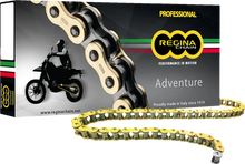 Load image into Gallery viewer, Regina Chain 525 ZRE - Drive Chain - Gold - 110 Links - Main Product View