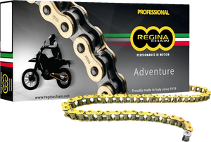 Regina Chain 525 ZRE - Drive Chain - Gold - 110 Links - Main Product View