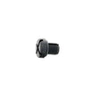 Load image into Gallery viewer, Rein Bleeder Screw CHW0575