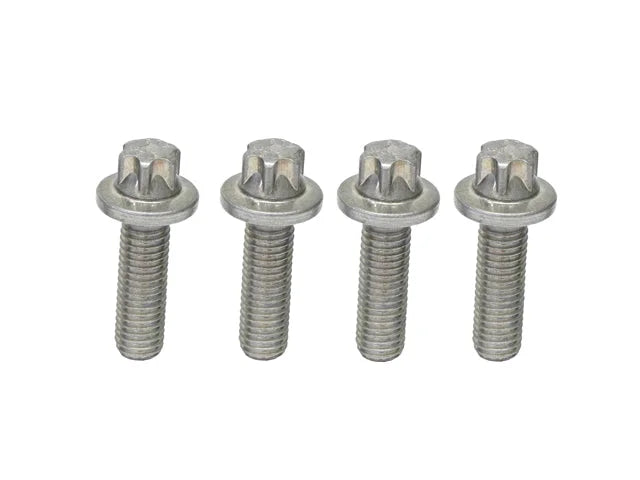 Rein Bolt Set HWK0007