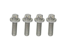 Load image into Gallery viewer, Rein Bolt Set HWK0007