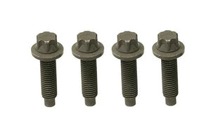 Rein Bolt Set HWK0033