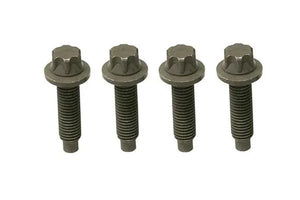 Rein Bolt Set HWK0033