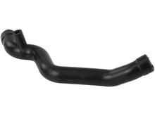 Load image into Gallery viewer, Rein Breather Hose ABV0248 - Back View