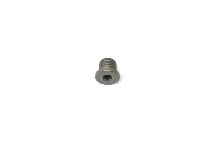 Rein Engine Oil Drain Plug HWP0014 - Side View