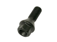 Load image into Gallery viewer, Rein Lug Bolt HWB0009