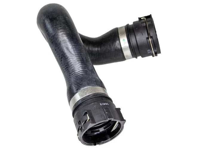 Rein Radiator Hose CHR0644 - Back View