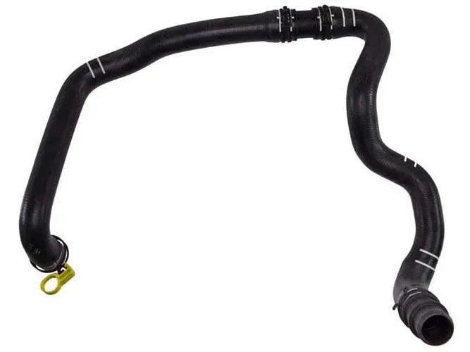 Rein Radiator Hose CHR0667 - Back View