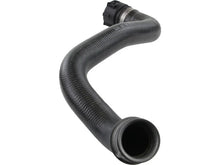 Load image into Gallery viewer, Rein Radiator Hose CHR0699 - Back View