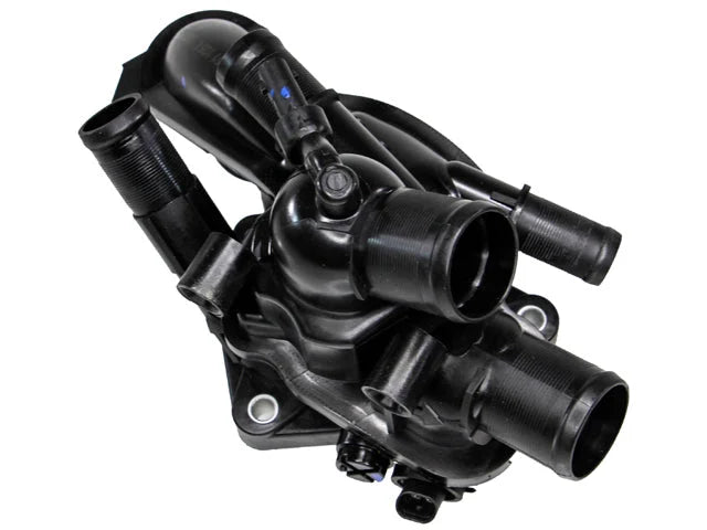 Rein Thermostat CTA0051 - Back View