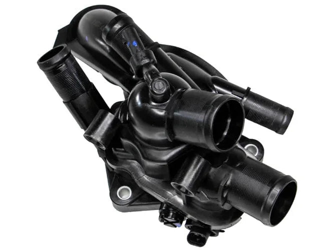 Rein Thermostat CTA0051 - Back View