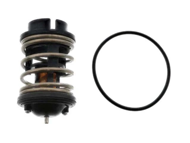 Rein Thermostat CTN0025
