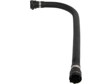 Load image into Gallery viewer, Rein Water Hose CHE0154 - Back View