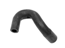 Load image into Gallery viewer, Rein Water Hose CHE0160R