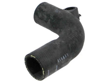 Load image into Gallery viewer, Rein Water Hose CHE0201 - Back View
