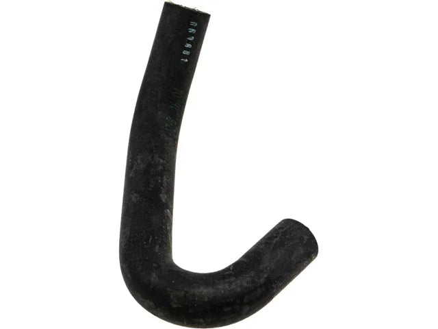 Rein Water Hose CHE0203 - Back View