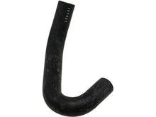 Load image into Gallery viewer, Rein Water Hose CHE0203 - Back View