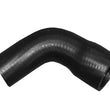 Load image into Gallery viewer, Rein Water Hose CHE0431