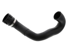 Load image into Gallery viewer, Rein Water Hose CHE0579