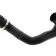 Load image into Gallery viewer, Rein Water Hose CHE0579
