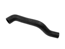 Load image into Gallery viewer, Rein Water Hose CHH0140R
