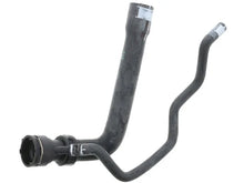 Load image into Gallery viewer, Rein Water Hose CHR0034P