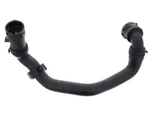 Load image into Gallery viewer, Rein Water Hose CHR0391 - Side View
