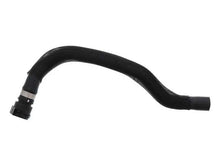 Load image into Gallery viewer, Rein Water Hose CHR0622