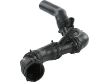 Load image into Gallery viewer, Rein Water Hose CHR0732 - Back View