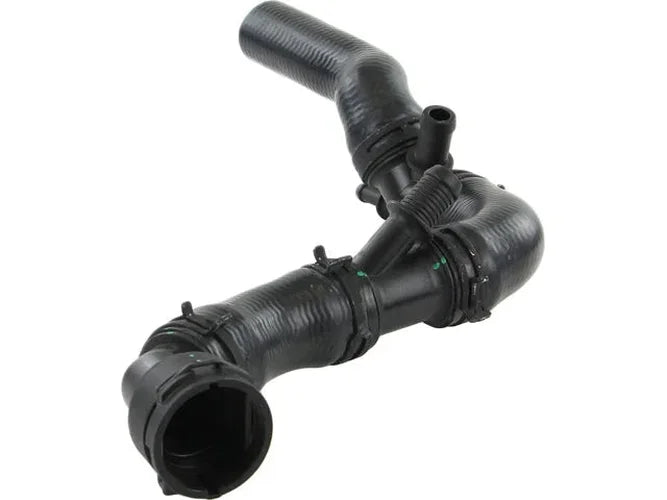 Rein Water Hose CHR0732 - Back View