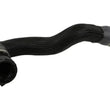 Load image into Gallery viewer, Rein Water Hose CHR0750 - Side View