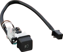 Load image into Gallery viewer, Replacement Fog Light Switch - GL1800 '01-'10 - Non-Airbag Show Chrome - Main Product View