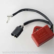 Load image into Gallery viewer, Ricks Motorsport Hot Shot Series Polaris CDI Box