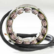 Load image into Gallery viewer, Ricks Motorsport New OEM Style Stator