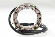 Load image into Gallery viewer, Ricks Motorsport New OEM Style Stator