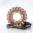 Load image into Gallery viewer, Ricks Motorsport New OEM Style Yamaha Stator