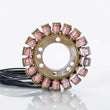 Load image into Gallery viewer, Ricks Motorsport New OEM Style Yamaha Stator