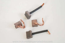 Load image into Gallery viewer, Ricks Motorsport Starter Motor Brushes
