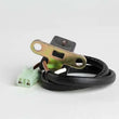 Load image into Gallery viewer, Ricks Motorsport Trigger Coil Assembly