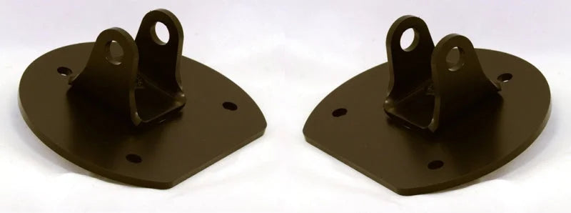 Ridetech 03-12 Ford Crown Victoria HQ Series ShockWaves Front Pair - Back View
