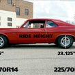 Load image into Gallery viewer, Ridetech 1967-1969 GM F-Body Composite Leaf Springs 1967-1969 GM F-Body - Side View