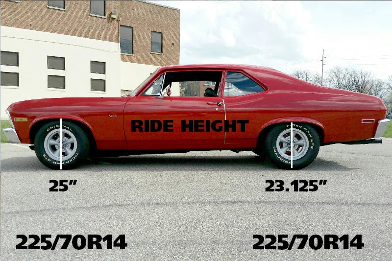 Ridetech 1967-1969 GM F-Body Composite Leaf Springs 1967-1969 GM F-Body - Side View
