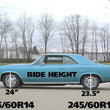 Load image into Gallery viewer, Ridetech 64-67 GM A-Body StreetGRIP Lowering Coil Springs Rear Dual Rate Pair - Side View