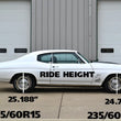 Load image into Gallery viewer, Ridetech 64-72 GM A-Body Big Block StreetGRIP Front Lowering Coil Springs Dual Rate Pair - Side View