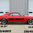 Load image into Gallery viewer, Ridetech 67-69 Camaro Big Block Small Block StreetGRIP Lowering Coil Springs Dual Rate Pair - Back View