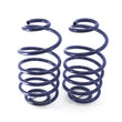 Load image into Gallery viewer, Ridetech 68-72 GM A-Body StreetGRIP Dual-Rate Coil Springs Rear Pair - Side View