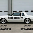 Load image into Gallery viewer, Ridetech 78-88 GM G-Body StreetGRIP Lowering Rear Coil Springs Dual Rate Pair - Side View