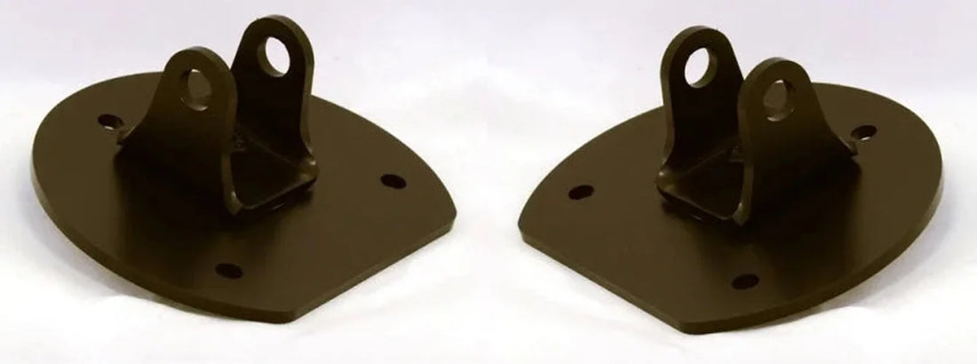 Ridetech 03-12 Ford Crown Victoria HQ Series ShockWaves Front Pair - Back View